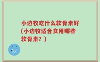 小边牧吃什么软骨素好(小边牧适合食用哪些软骨素？)