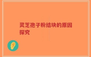 灵芝孢子粉结块的原因探究
