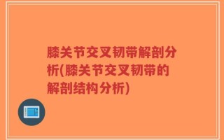 膝关节交叉韧带解剖分析(膝关节交叉韧带的解剖结构分析)