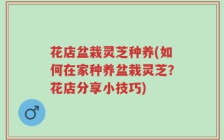 花店盆栽灵芝种养(如何在家种养盆栽灵芝？花店分享小技巧)