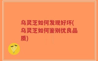 乌灵芝如何发现好坏(乌灵芝如何鉴别优良品质)