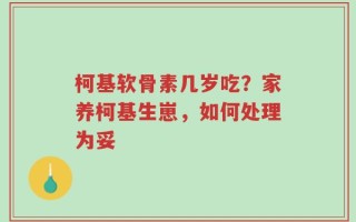 柯基软骨素几岁吃？家养柯基生崽，如何处理为妥