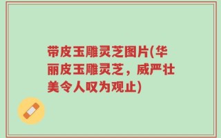 带皮玉雕灵芝图片(华丽皮玉雕灵芝，威严壮美令人叹为观止)