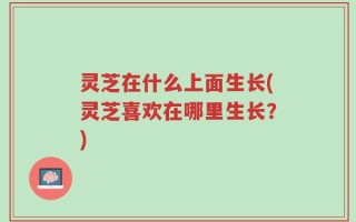 灵芝在什么上面生长(灵芝喜欢在哪里生长？)