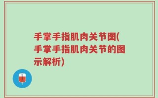 手掌手指肌肉关节图(手掌手指肌肉关节的图示解析)