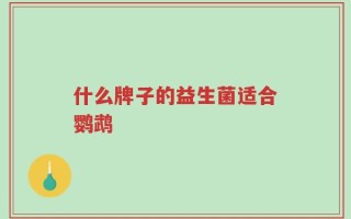 什么牌子的益生菌适合鹦鹉