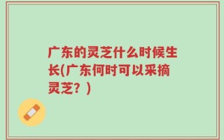 广东的灵芝什么时候生长(广东何时可以采摘灵芝？)