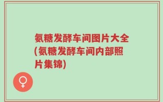 氨糖发酵车间图片大全(氨糖发酵车间内部照片集锦)