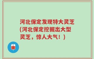 河北保定发现特大灵芝(河北保定挖掘出大型灵芝，惊人大气！)