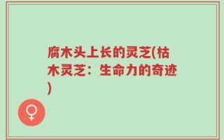 腐木头上长的灵芝(枯木灵芝：生命力的奇迹)