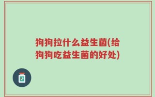 狗狗拉什么益生菌(给狗狗吃益生菌的好处)
