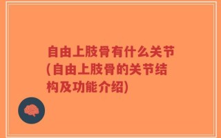 自由上肢骨有什么关节(自由上肢骨的关节结构及功能介绍)