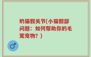 奶猫髋关节(小猫髋部问题：如何帮助你的毛茸宠物？)