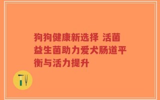 狗狗健康新选择 活菌益生菌助力爱犬肠道平衡与活力提升