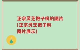 正宗灵芝袍子粉的图片(正宗灵芝袍子粉  图片展示)