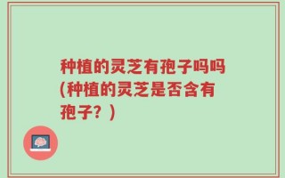 种植的灵芝有孢子吗吗(种植的灵芝是否含有孢子？)