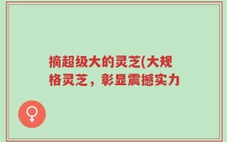 摘超级大的灵芝(大规格灵芝，彰显震撼实力