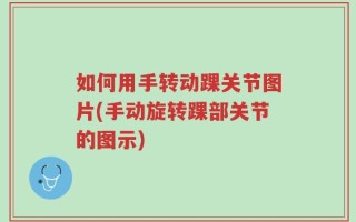 如何用手转动踝关节图片(手动旋转踝部关节的图示)