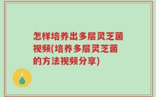 怎样培养出多层灵芝菌视频(培养多层灵芝菌的方法视频分享)