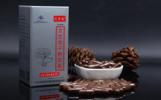 什么人不能吃灵芝孢子粉