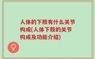 人体的下肢有什么关节构成(人体下肢的关节构成及功能介绍)