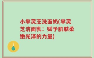 小芈灵芝洗面奶(芈灵芝洁面乳：赋予肌肤柔嫩光泽的力量)