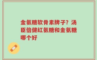 金氨糖软骨素牌子？汤臣倍健红氨糖和金氨糖哪个好