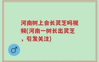 河南树上会长灵芝吗视频(河南一树长出灵芝，引发关注)
