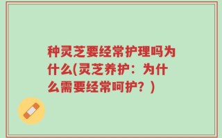 种灵芝要经常护理吗为什么(灵芝养护：为什么需要经常呵护？)