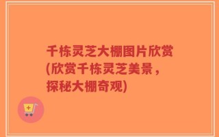 千栋灵芝大棚图片欣赏(欣赏千栋灵芝美景，探秘大棚奇观)