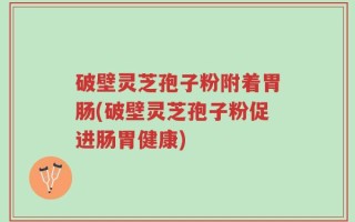 破壁灵芝孢子粉附着胃肠(破壁灵芝孢子粉促进肠胃健康)