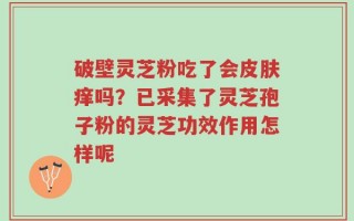 破壁灵芝粉吃了会皮肤痒吗？已采集了灵芝孢子粉的灵芝功效作用怎样呢