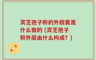 灵芝孢子粉的外胶囊是什么做的 (灵芝孢子粉外层由什么构成？)