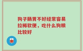 狗子肠胃不好经常容易拉稀软便，吃什么狗粮比较好