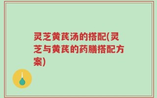 灵芝黄芪汤的搭配(灵芝与黄芪的药膳搭配方案)