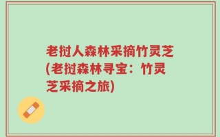 老挝人森林采摘竹灵芝(老挝森林寻宝：竹灵芝采摘之旅)