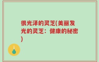 很光泽的灵芝(美丽发光的灵芝：健康的秘密)