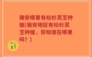 雅安哪里有松杉灵芝种植(雅安地区有松杉灵芝种植，你知道在哪里吗？)