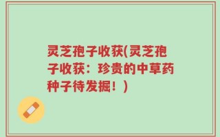 灵芝孢子收获(灵芝孢子收获：珍贵的中草药种子待发掘！)