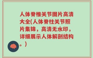 人体脊椎关节图片高清大全(人体脊柱关节照片集锦，高清无水印，详细展示人体解剖结构。)