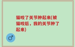 猫咬了关节肿起来(被猫咬后，我的关节肿了起来)
