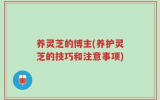 养灵芝的博主(养护灵芝的技巧和注意事项)