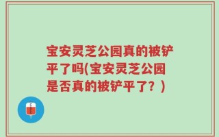 宝安灵芝公园真的被铲平了吗(宝安灵芝公园是否真的被铲平了？)