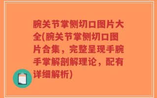 腕关节掌侧切口图片大全(腕关节掌侧切口图片合集，完整呈现手腕手掌解剖解理论，配有详细解析)