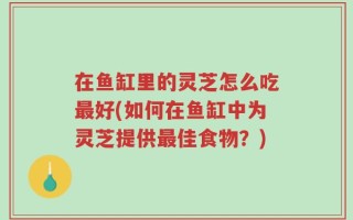 在鱼缸里的灵芝怎么吃最好(如何在鱼缸中为灵芝提供最佳食物？)