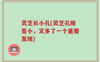 灵芝长小孔(灵芝孔隙变小，又多了一个重要发现)