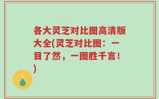 各大灵芝对比图高清版大全(灵芝对比图：一目了然，一图胜千言！)