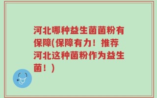 河北哪种益生菌菌粉有保障(保障有力！推荐河北这种菌粉作为益生菌！)