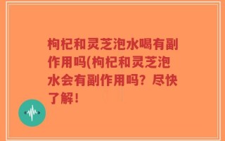 枸杞和灵芝泡水喝有副作用吗(枸杞和灵芝泡水会有副作用吗？尽快了解！