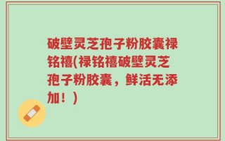 破壁灵芝孢子粉胶囊禄铭禧(禄铭禧破壁灵芝孢子粉胶囊，鲜活无添加！)